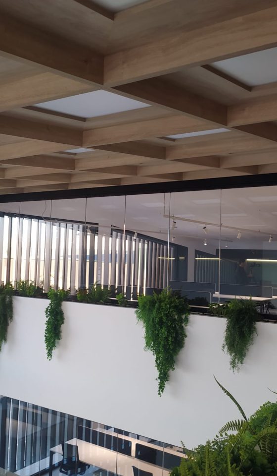 proyecto-oficinas-1-3